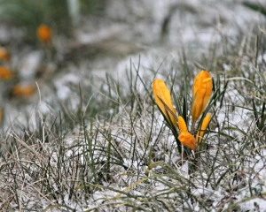 Синоптики здивували прогнозом на середу